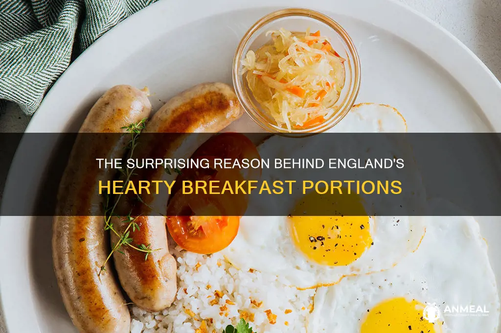 why are english breakfast so large