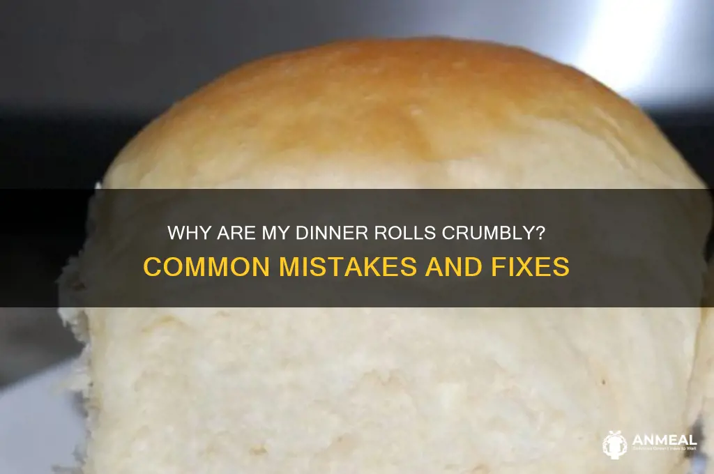 why are my dinner rolls crumbly