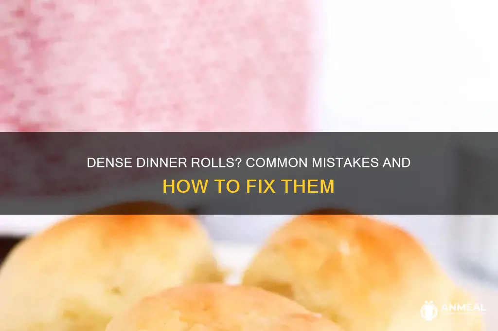 why are my dinner rolls dense