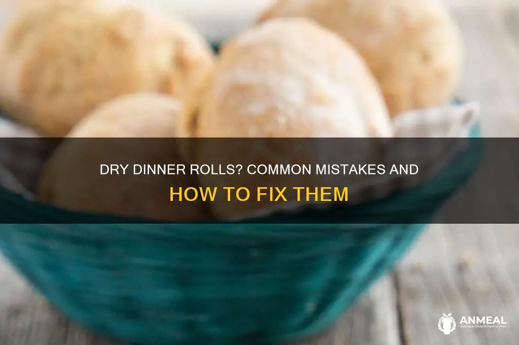 why are my dinner rolls dry