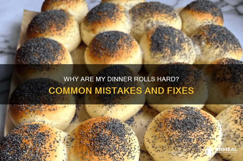 why are my dinner rolls hard