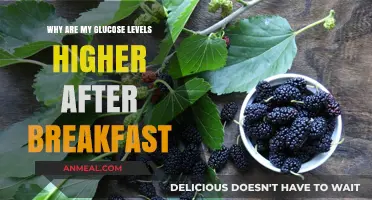Post-Breakfast Glucose Spike: Causes and Solutions Explained