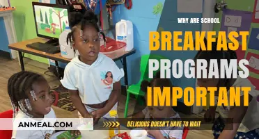 Fueling Young Minds: The Vital Role of School Breakfast Programs