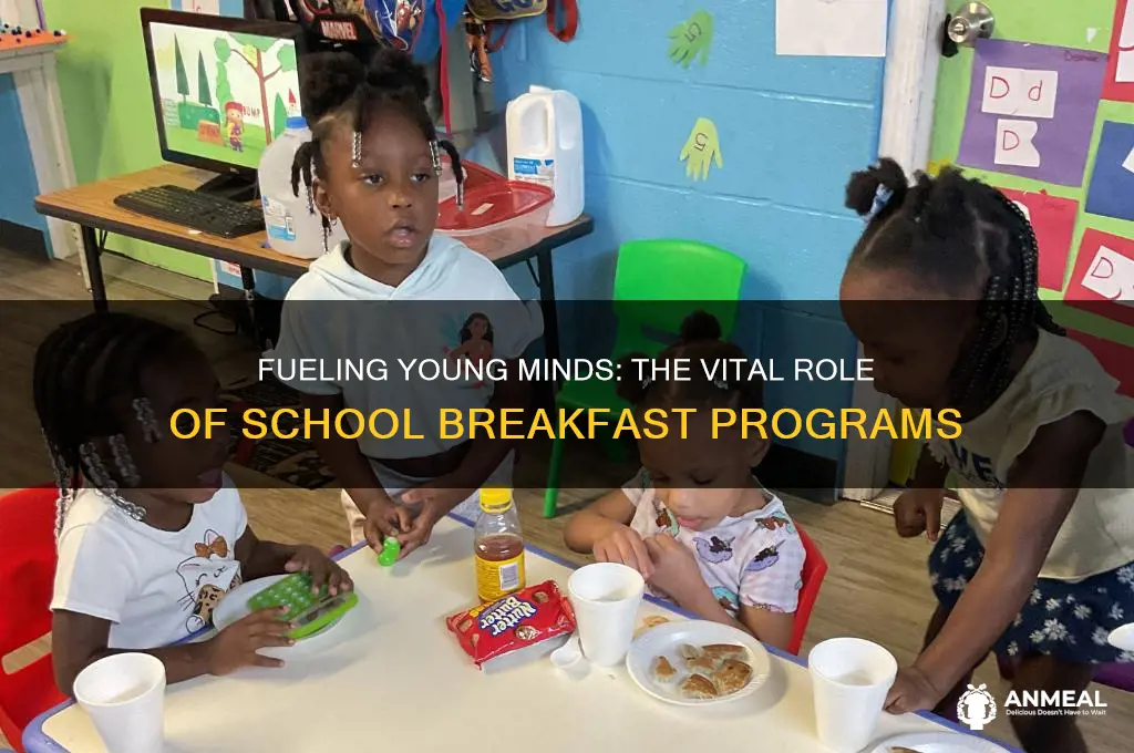 why are school breakfast programs important