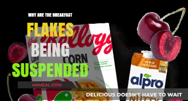 Breakfast Flakes Suspended: Uncovering the Reasons Behind the Sudden Halt