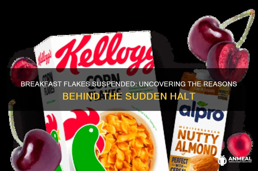 why are the breakfast flakes being suspended