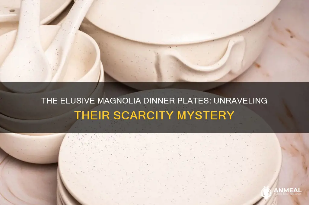 why are the magnolia dinner plates so hard to find