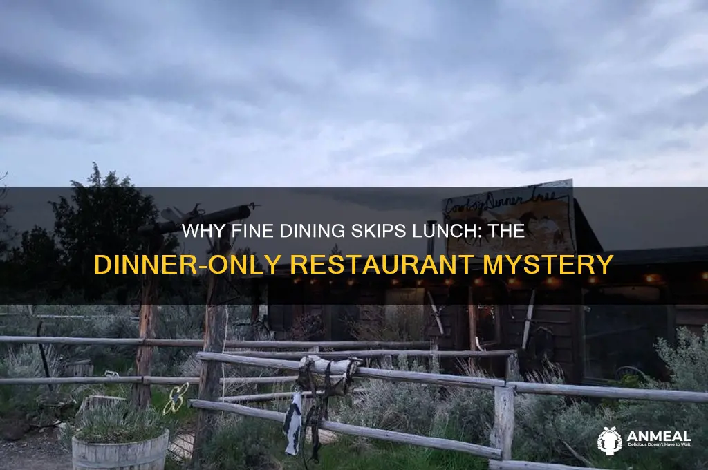 why are the nice restaurants only open for dinner
