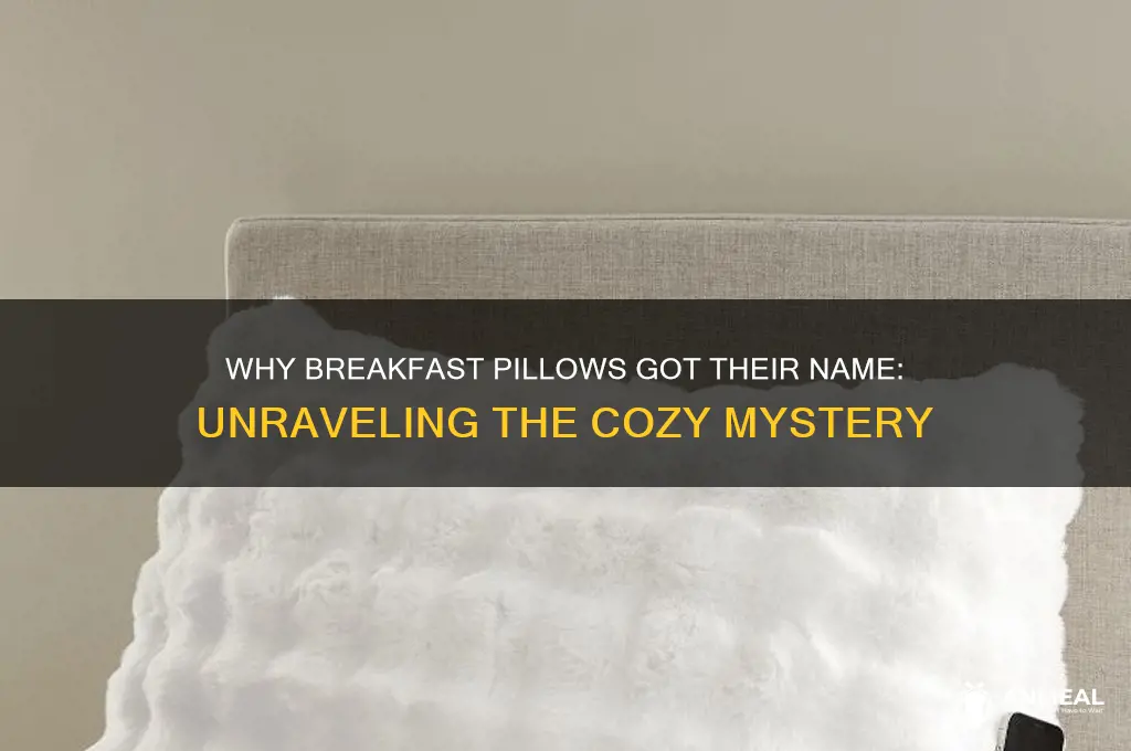 why are they called breakfast pillows