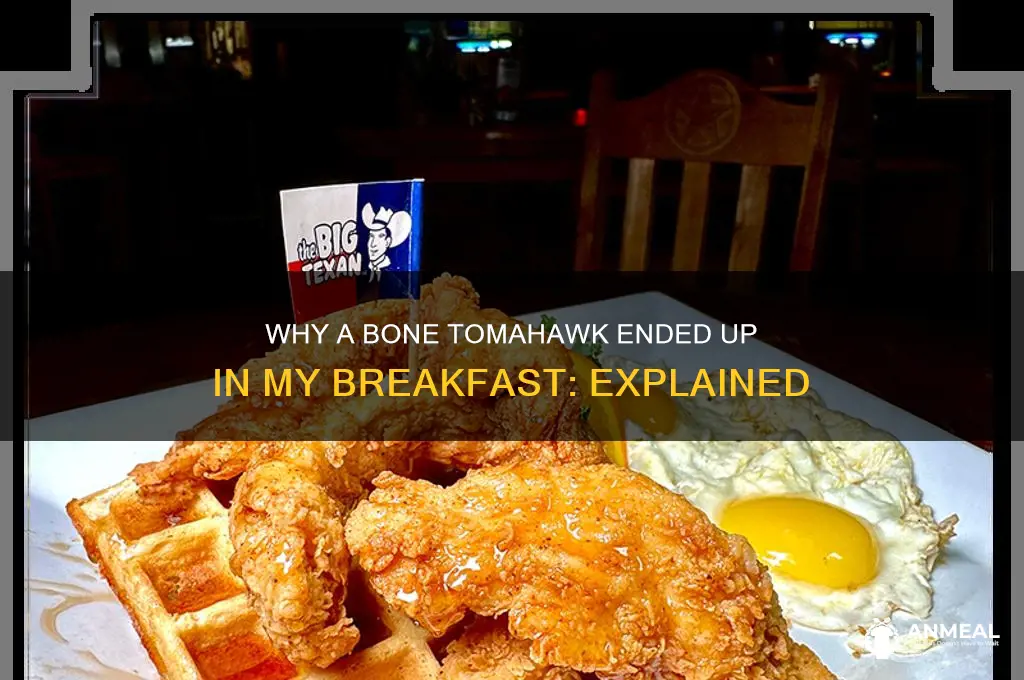 why are you in my breakfast bone tomahawk