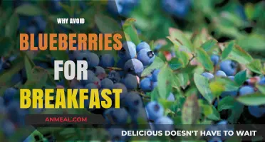 Skip Blueberries at Breakfast: Surprising Reasons to Rethink Your Morning Routine