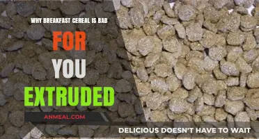Extruded Breakfast Cereals: Hidden Health Risks and Sugar-Laden Truths