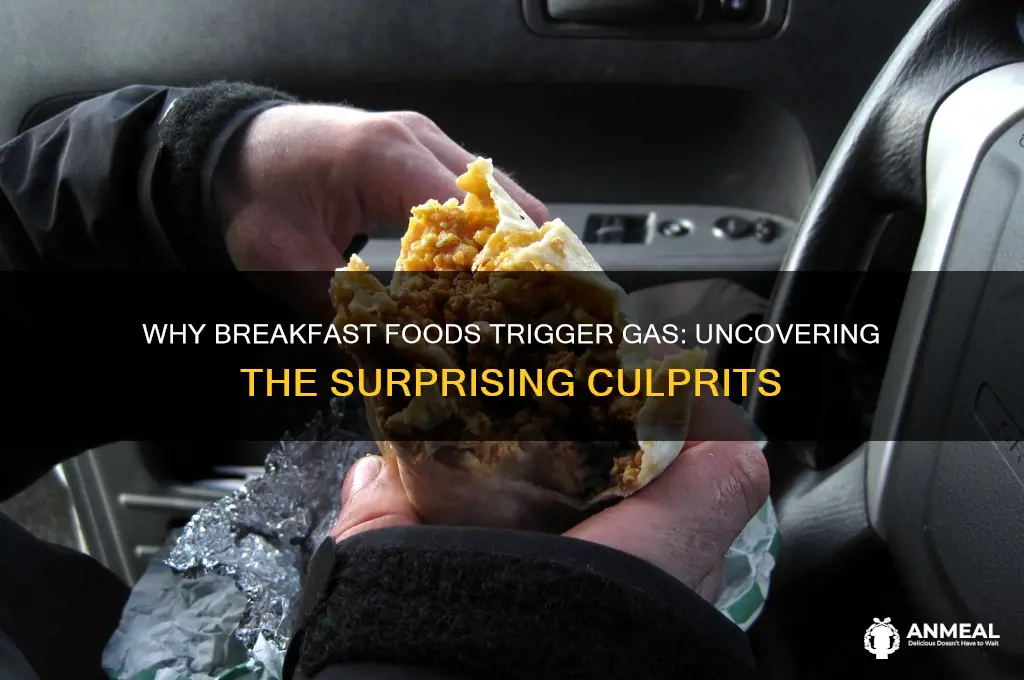 why breakfast food causes gas