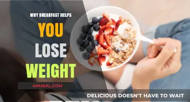 Boost Metabolism, Burn Fat: How Breakfast Aids Weight Loss