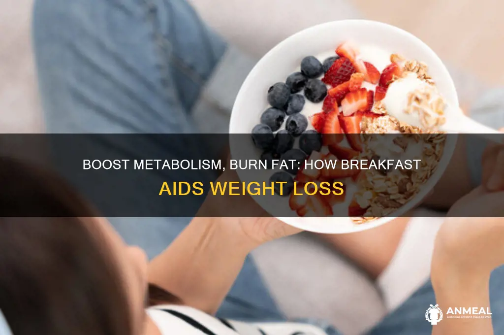 why breakfast helps you lose weight