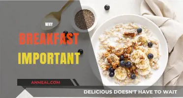 Start Your Day Right: The Vital Importance of Breakfast