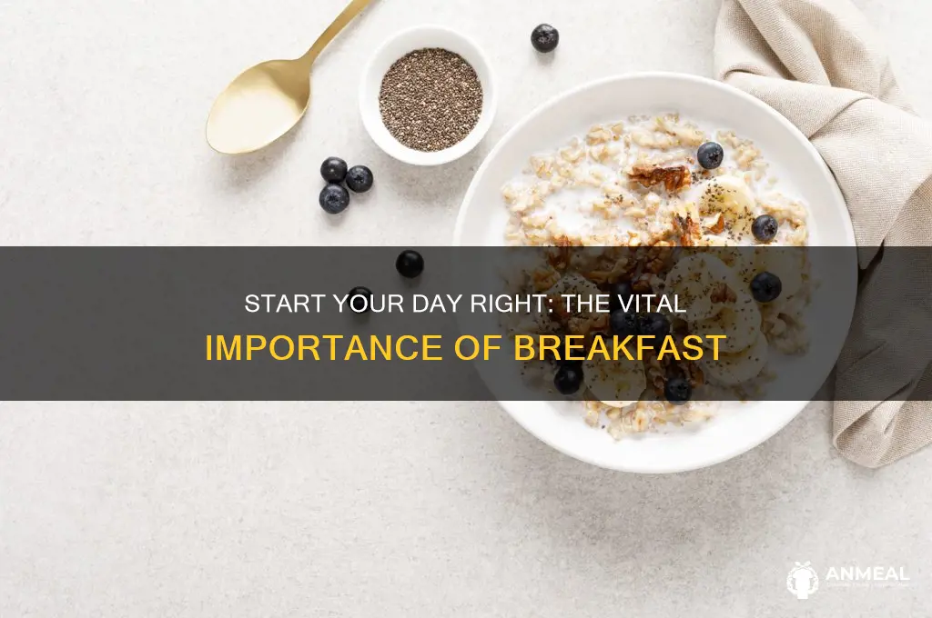 why breakfast important