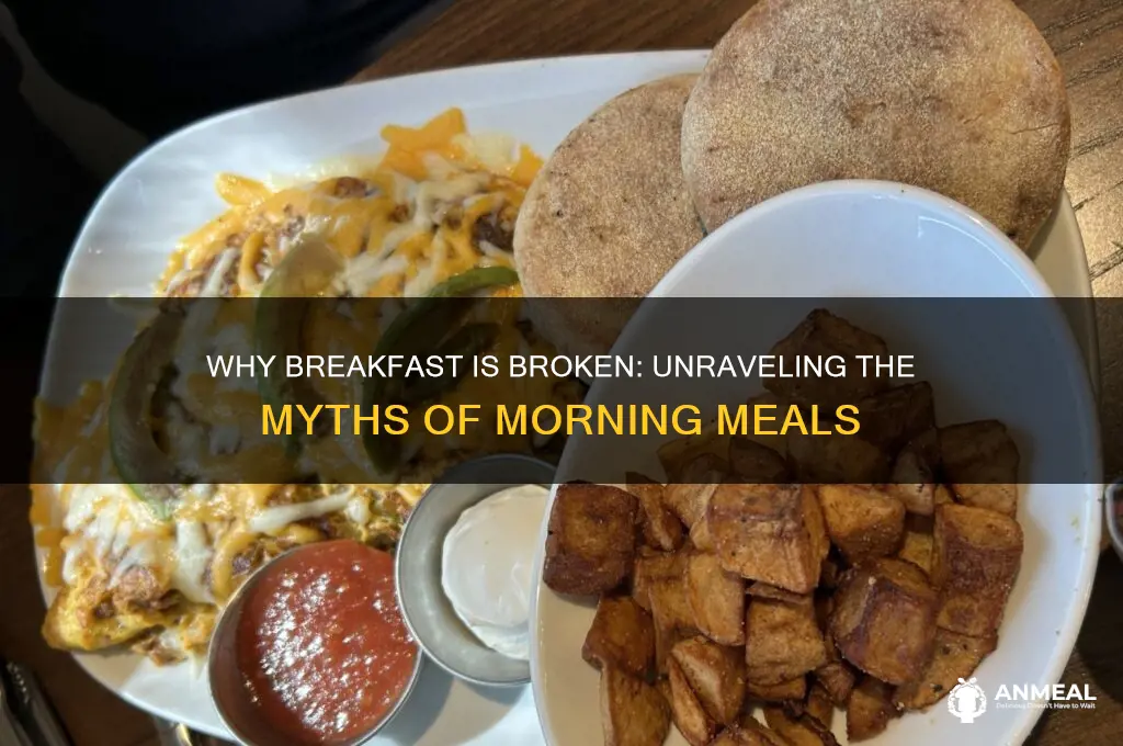 why breakfast is broken