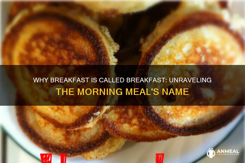 why breakfast is called breakfast