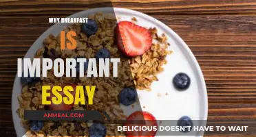 The Essential Role of Breakfast in Daily Health and Energy