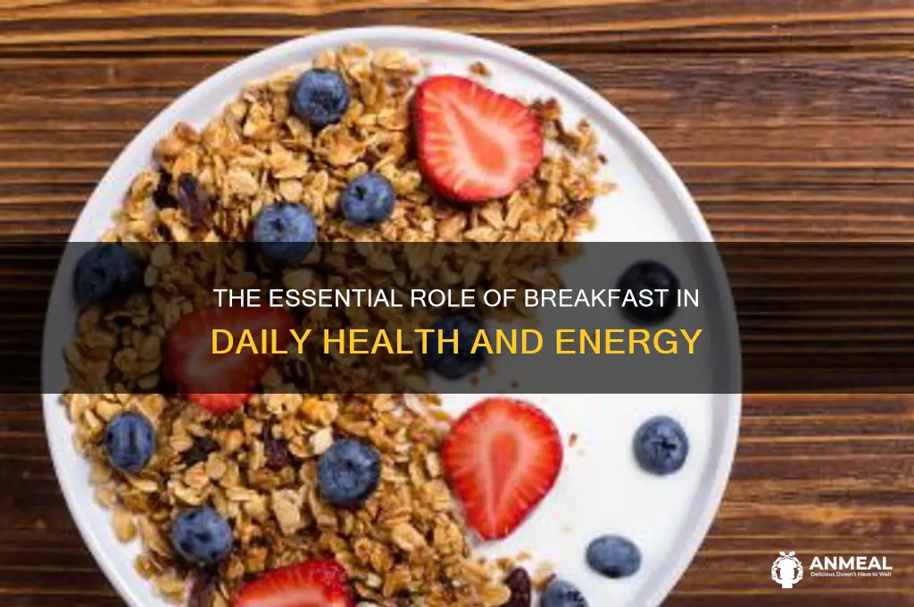 why breakfast is important essay