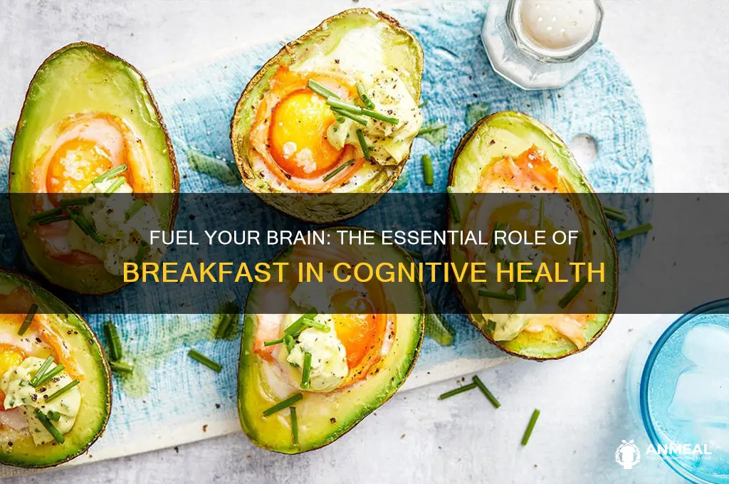 why breakfast is important for your brain