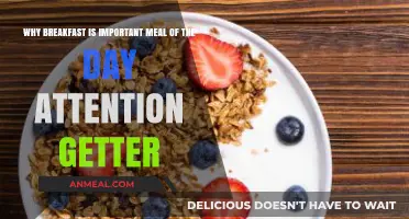Fuel Your Day: Why Breakfast is the Ultimate Morning Power Boost