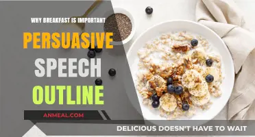 Fuel Your Day: The Power of Breakfast Persuasive Speech Outline