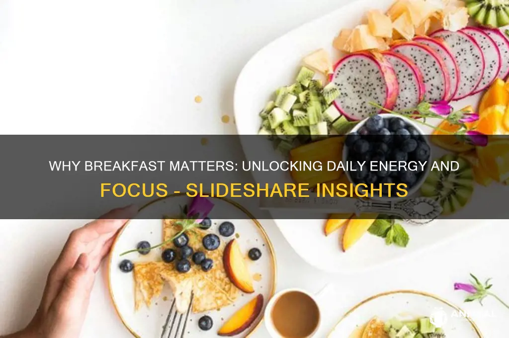 why breakfast is important slideshare