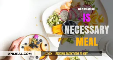 Breakfast: The Essential Morning Fuel for Energy and Focus