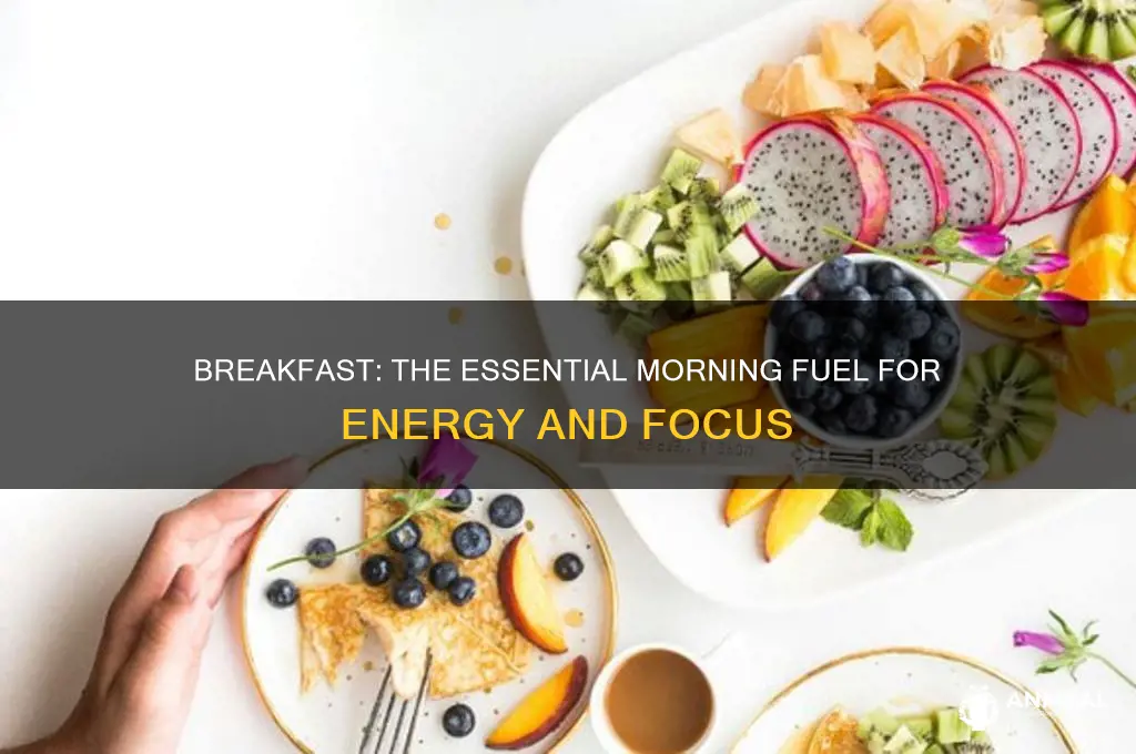 why breakfast is necessary meal