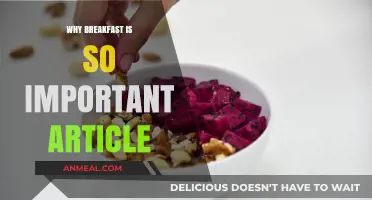 Fuel Your Day: The Vital Importance of Eating Breakfast