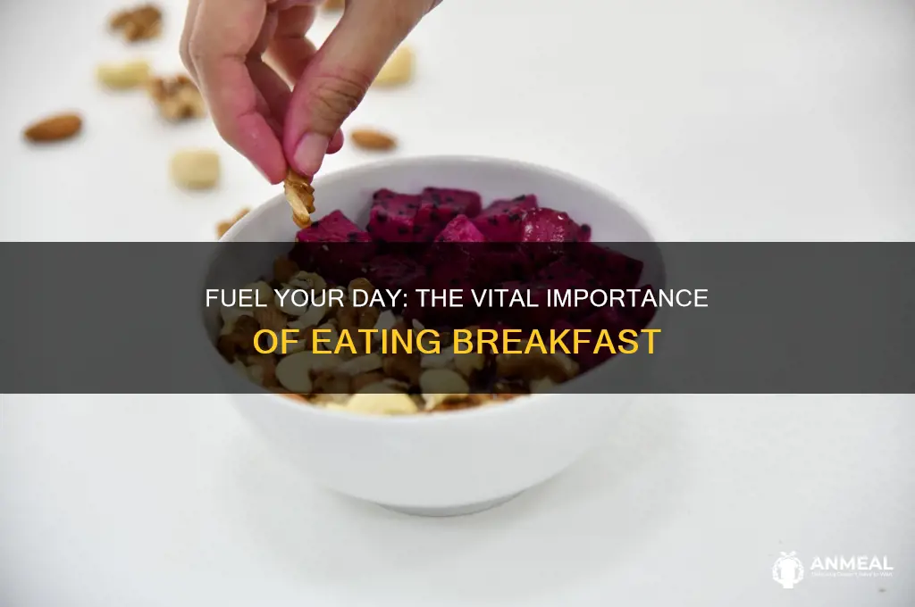 why breakfast is so important article