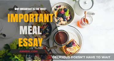 Breakfast: The Essential Meal to Fuel Your Day and Health