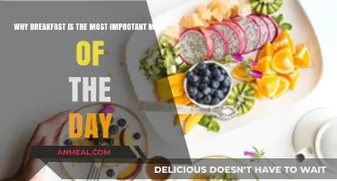 Breakfast: The Essential Meal to Fuel Your Day and Boost Health