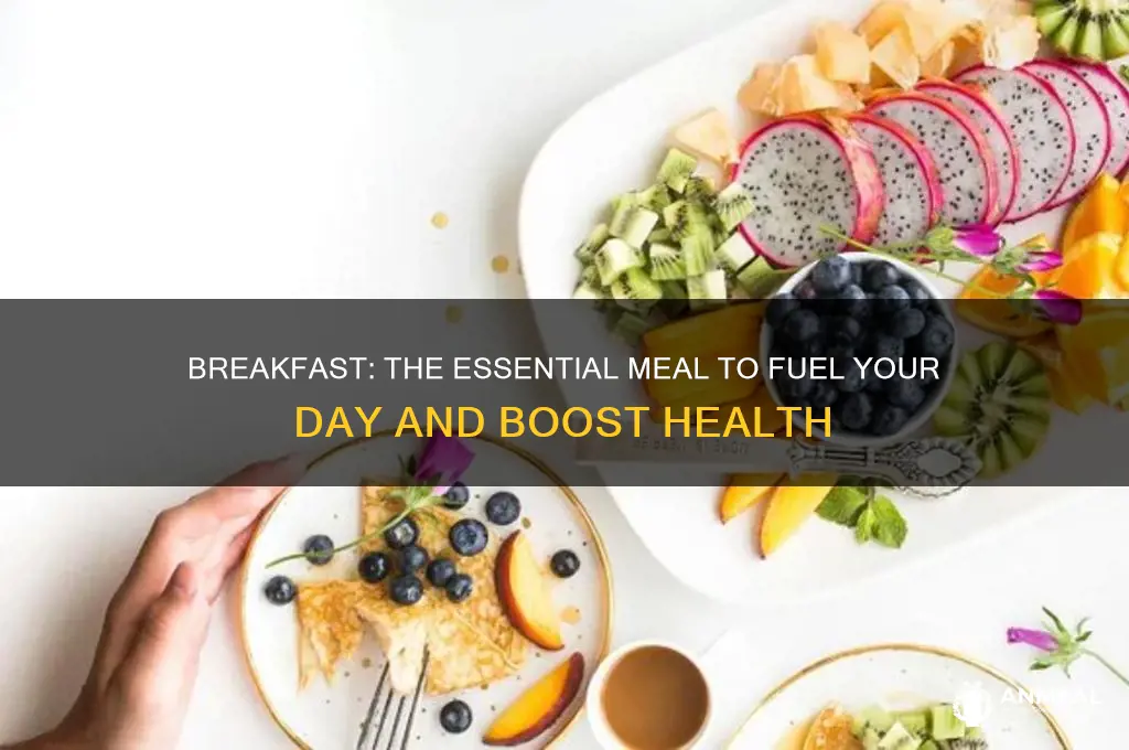 why breakfast is the most improtant meal of the day