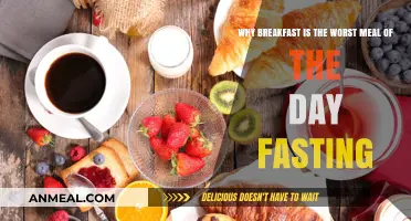 Breakfast: The Unnecessary Meal? Benefits of Skipping Morning Eating