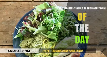 Maximize Energy and Metabolism: Why Breakfast Should Be Your Biggest Meal