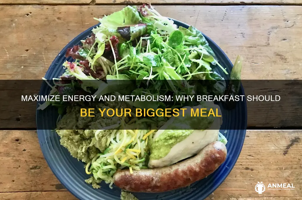 why breakfast should be the biggest meal of the day