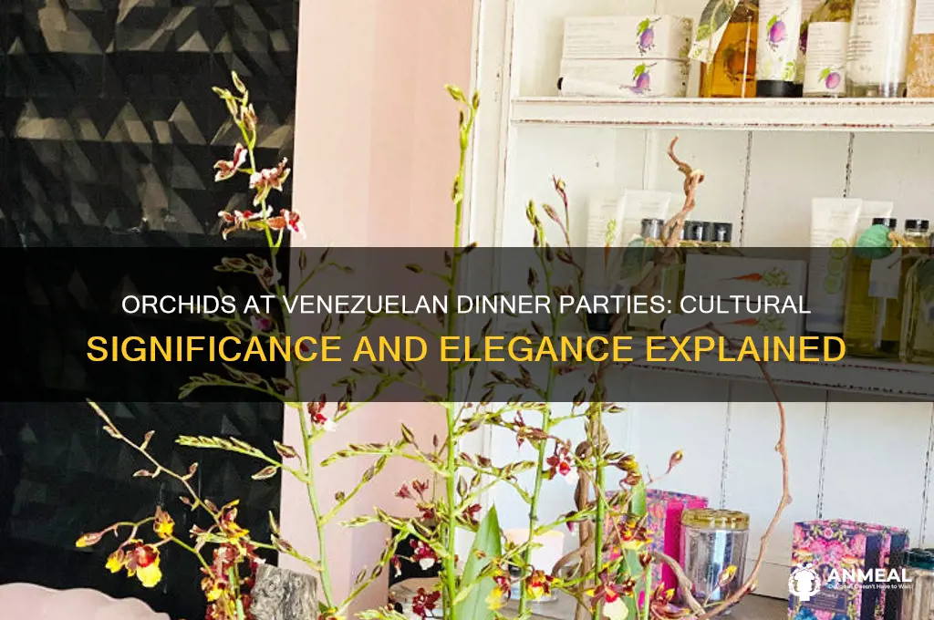 why bring orchidsto a venezuelan dinner party