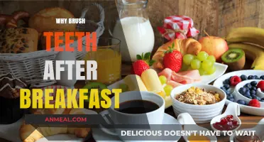 Brush After Breakfast: Protecting Your Smile from Morning Plaque Buildup