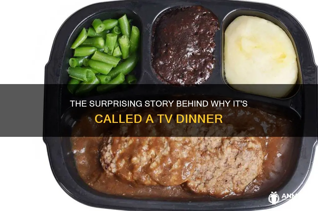 why called tv dinner