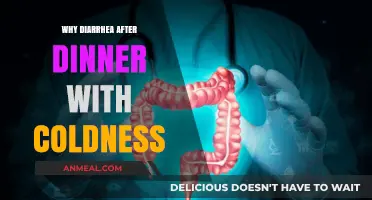 Post-Dinner Diarrhea and Chills: Causes and Remedies Explained