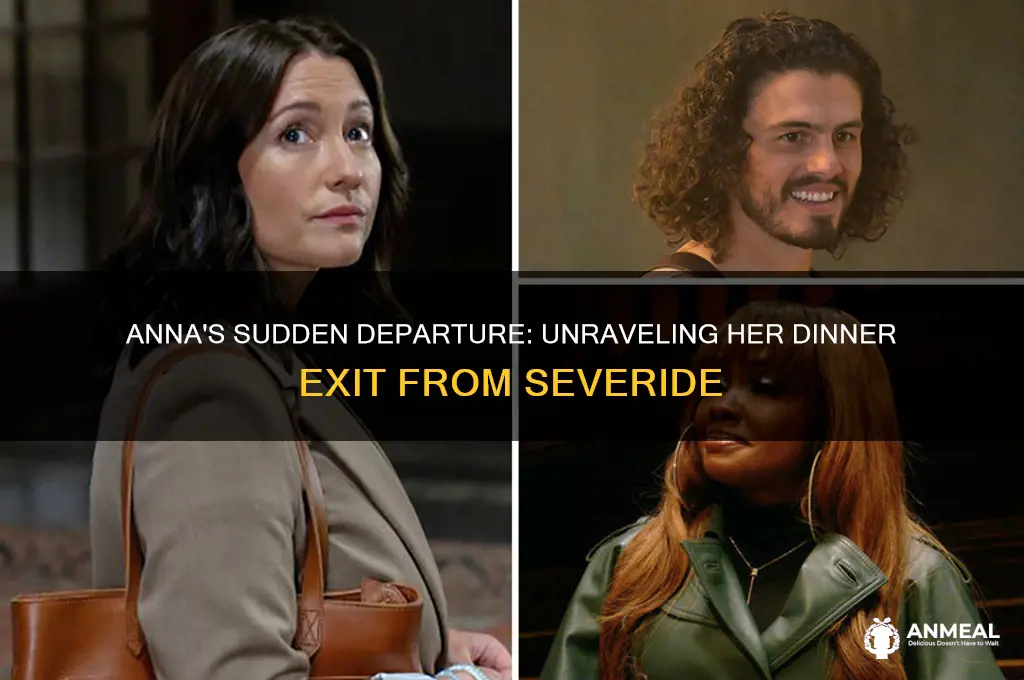 why did anna leave severide at dinner