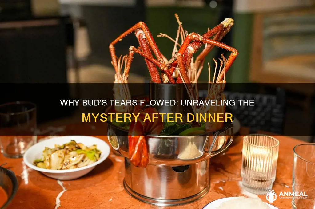 why did bud start crying after dinner
