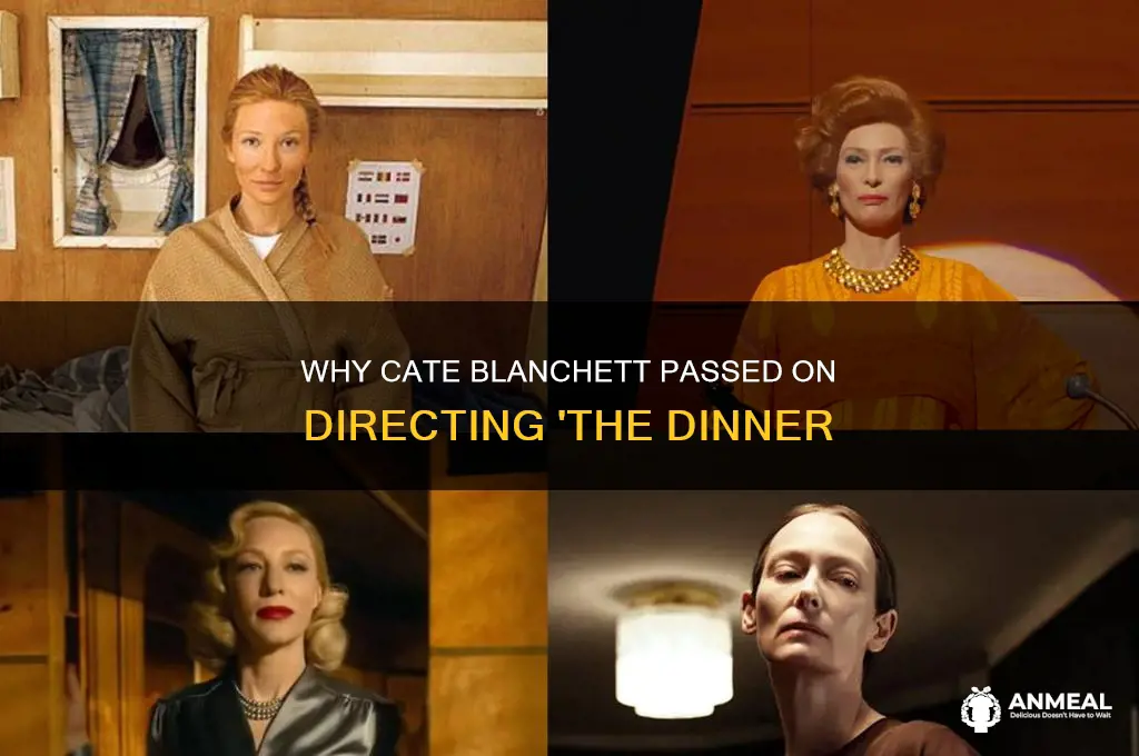 why did cate blanchett not direct the dinner