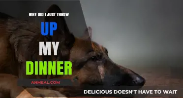 Why Did I Throw Up My Dinner? Causes and Concerns