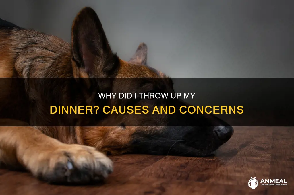 why did i just throw up my dinner