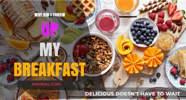 Why Did I Throw Up My Breakfast? Causes and Remedies