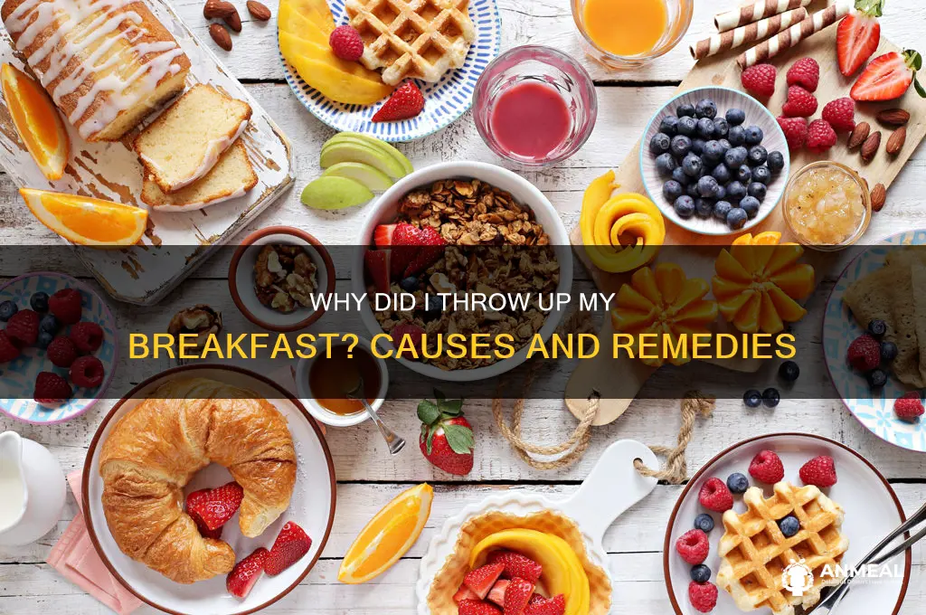 why did i throw up my breakfast